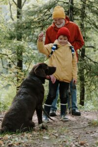 Training Tips for Families With Kids and Dogs