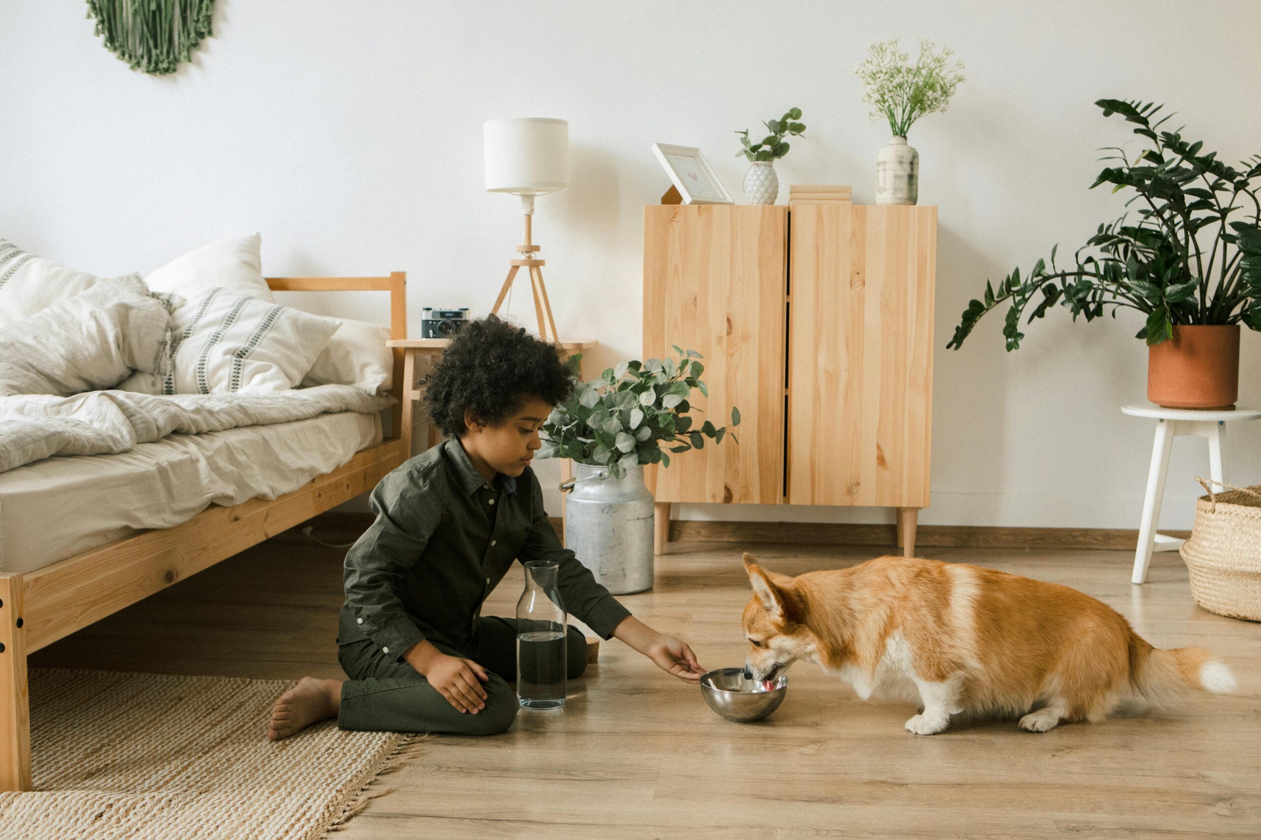 Training Tips for Families With Kids and Dogs
