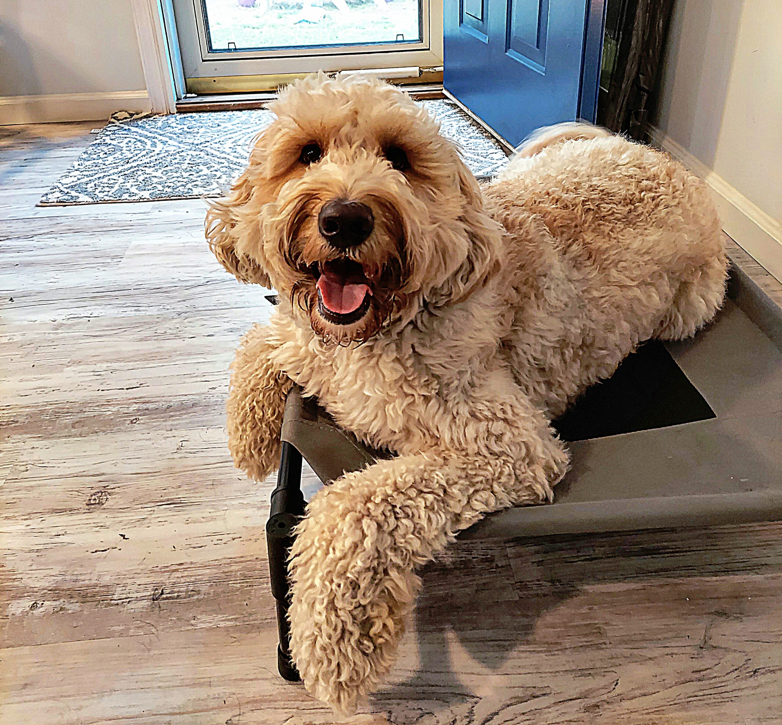 IMG_20200921_150105_407