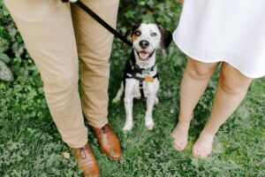 Leash Reactivity: Powerful Causes, Fixes, & Myths Explained