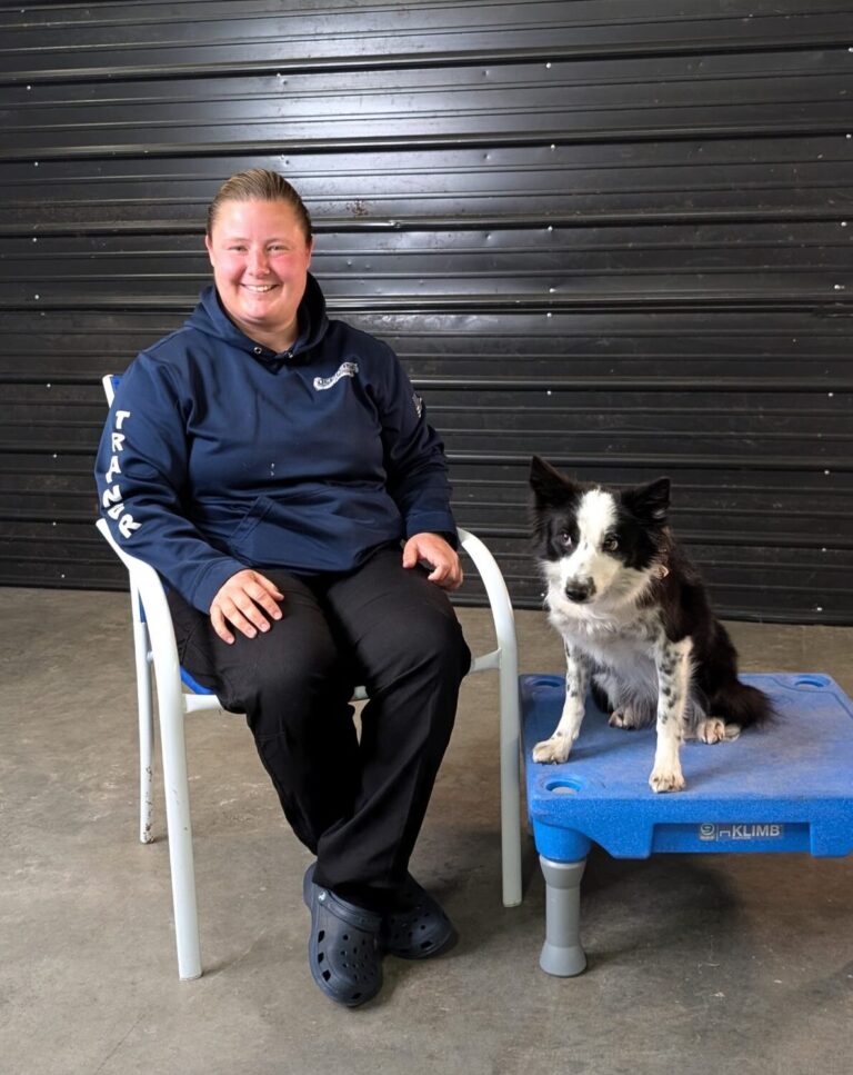 Erica Tillger — Off Leash K9 Training of Dover
